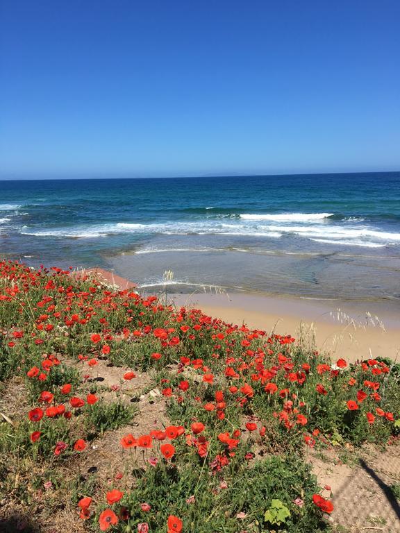 Artemisia Sardegna Hotel Tergu ภายนอก รูปภาพ